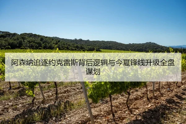 阿森纳追逐约克雷斯背后逻辑与今夏锋线升级全盘谋划